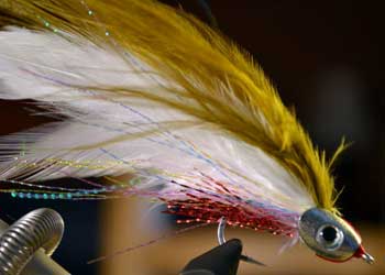 <fly tying feathers>